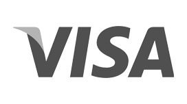 Pay now with Visa Card